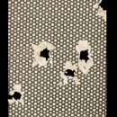 HMC_03457_HardCardShot2.jpg